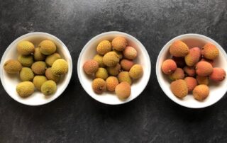cold rooms and packhouse for litchis